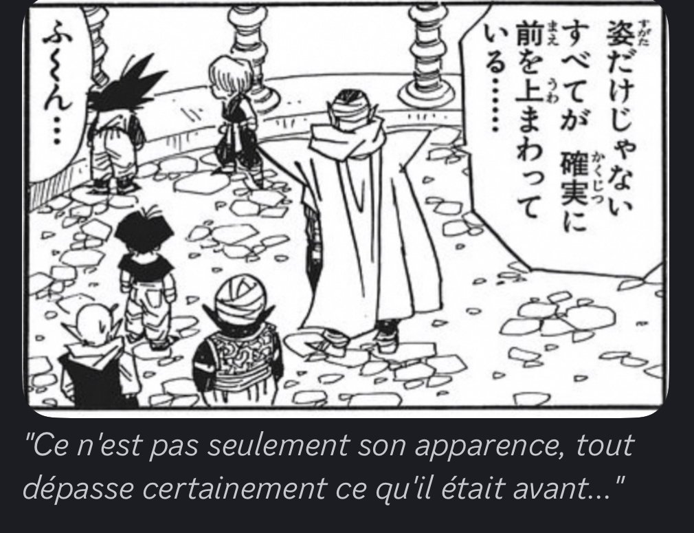 Suite des propos de Piccolo