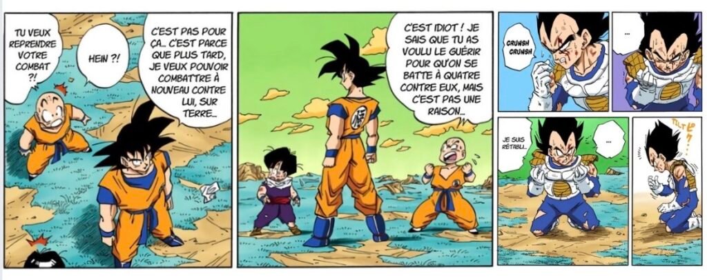 Goku contre Vegeta sur Namek — souhait de revanche
